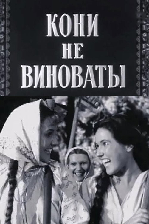 Кони не виноваты