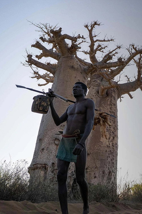 Madagascar : les Mikea, derniers gardiens de la forêt