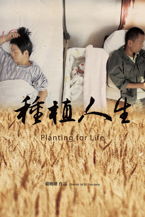 种植人生