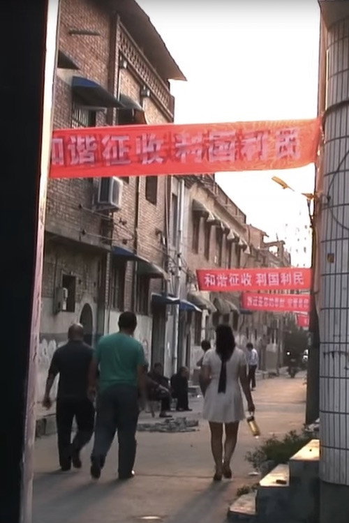 花打朝