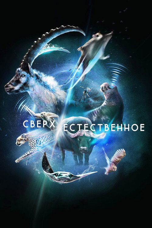 Сверх/Естественное