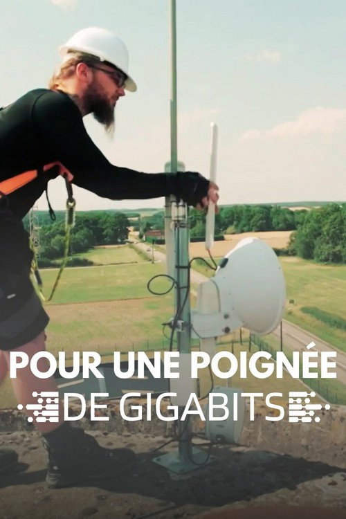 Pour une poignée de gigabits