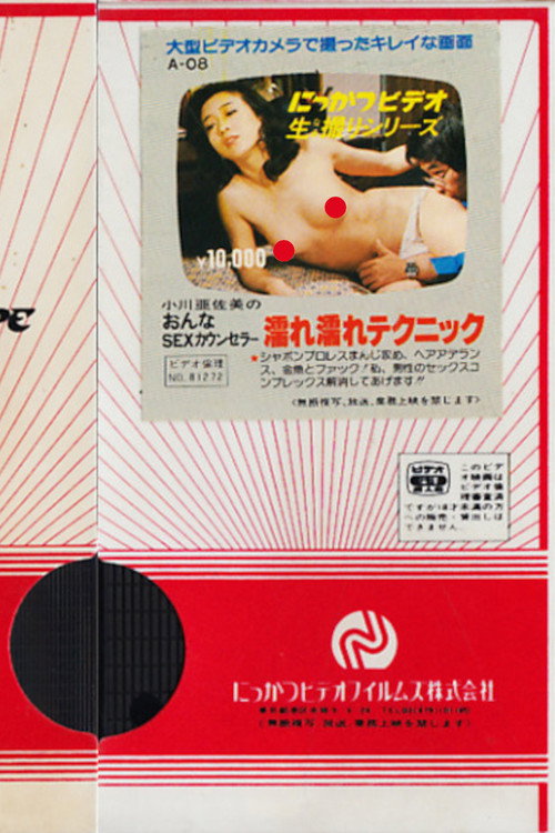 小川亜佐美の　おんなSEXカウンセラー　濡れ濡れテクニック