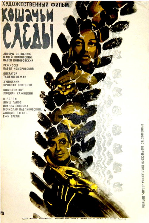 Кошачьи следы