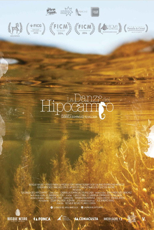 La danza del hipocampo