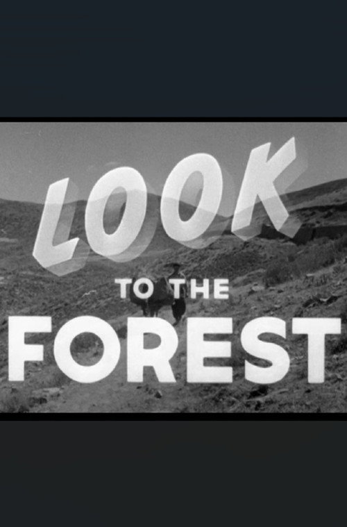 Look to the Forest