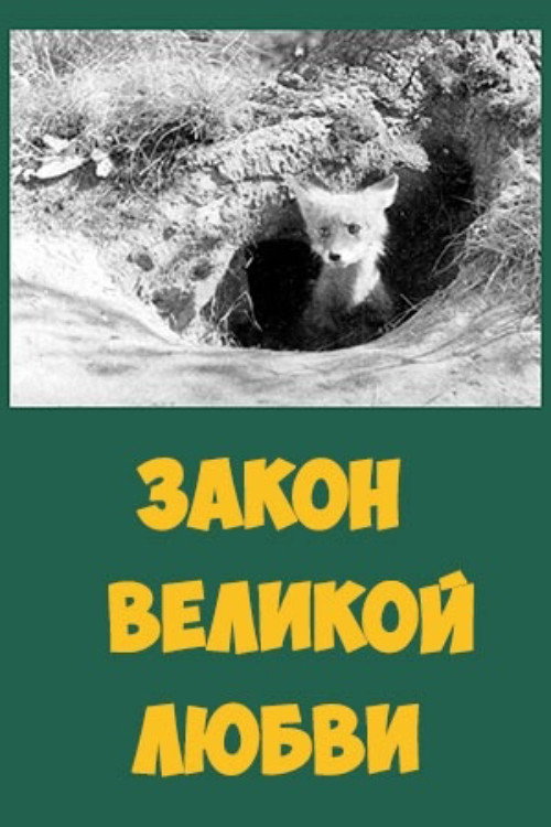 Закон великой любви