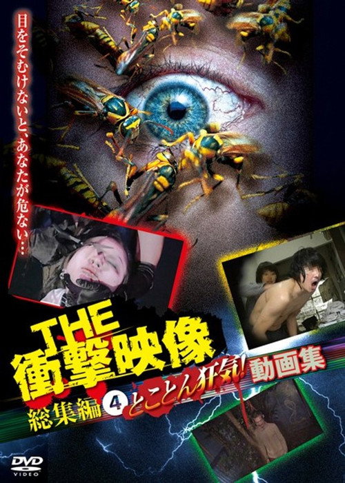 THE 衝撃映像 総集編（4）とことん狂気！動画集