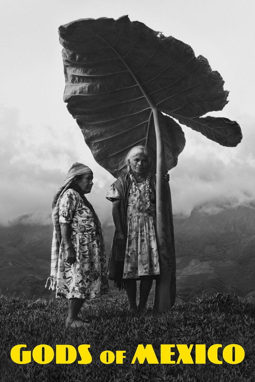 Dioses de México