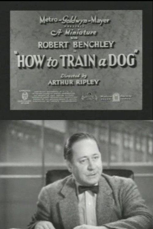 How to Train a Dog