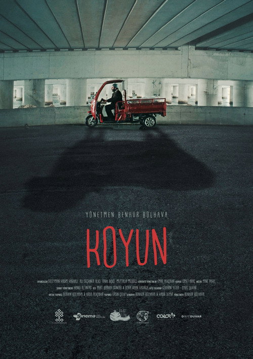 Koyun