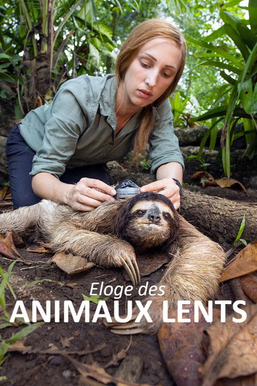 Éloge des animaux lents