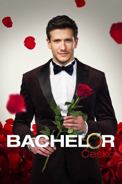 Bachelor