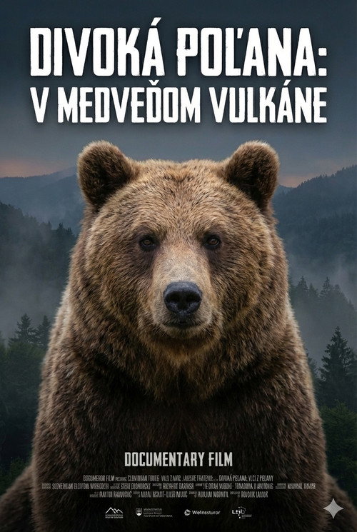 Divoká Poľana: V medveďom vulkáne