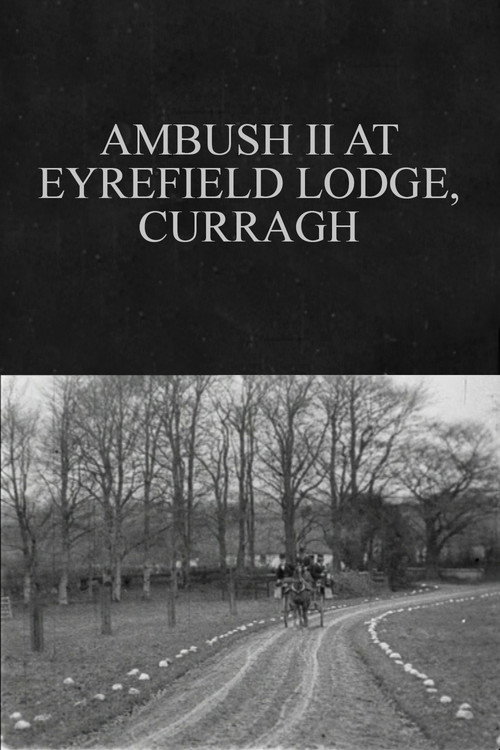 Ambush II at Eyrefield Lodge, Curragh