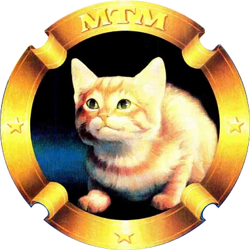 Логотип MTM Enterprises
