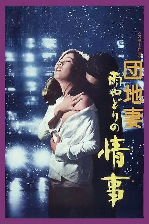 雨の夜の情事