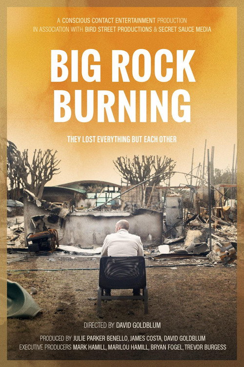 Big Rock Burning