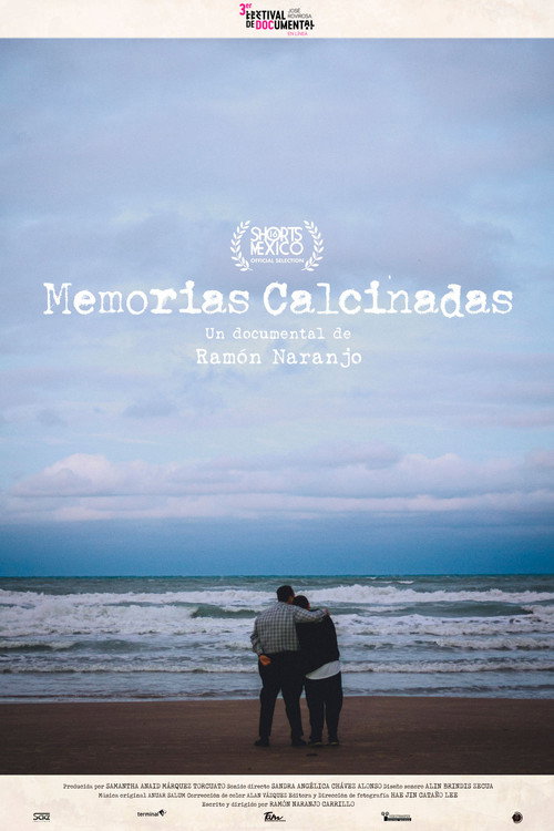 Memorias Calcinadas