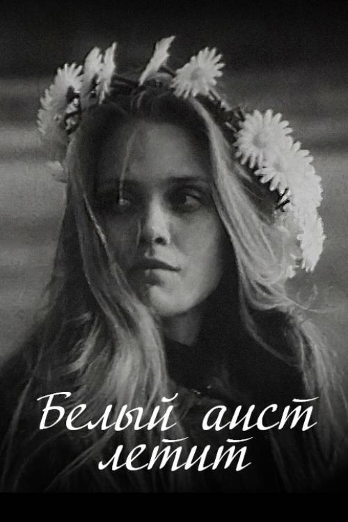 Белый аист летит