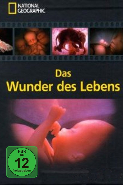Das Wunder des Lebens