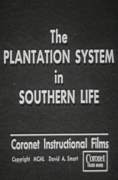 The Plantation System in Southern Life