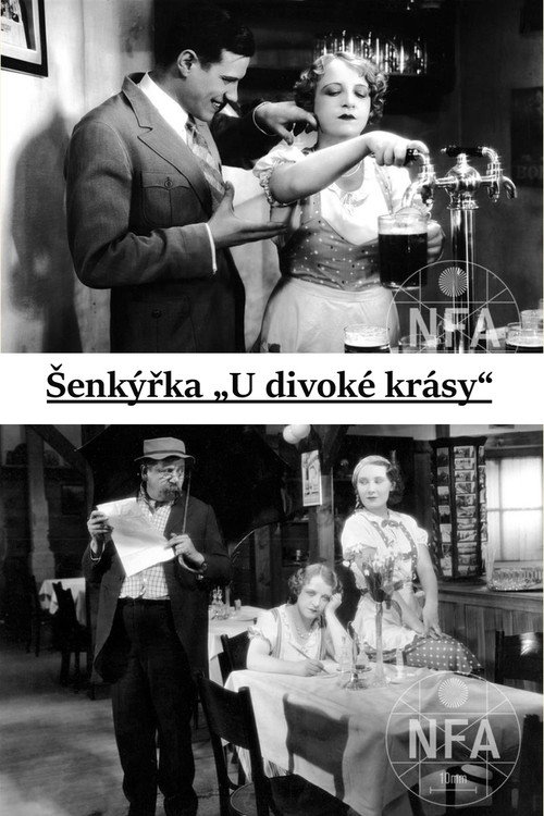 Šenkýřka „U divoké krásy“