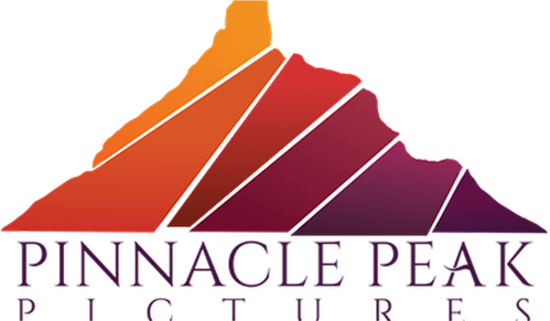Логотип Pinnacle Peak Pictures