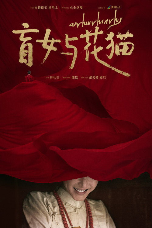 盲女与花猫