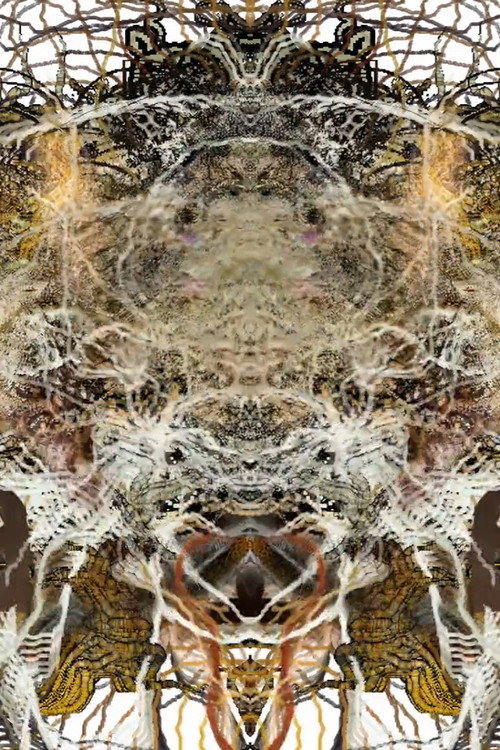 Rupture