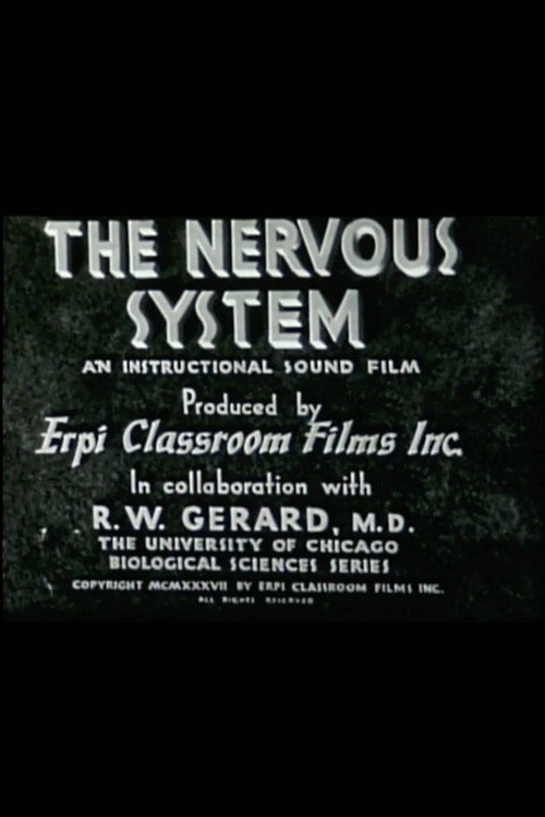 The Nervous System