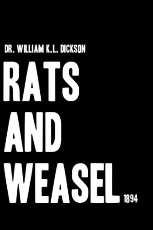 Rats and Weasel
