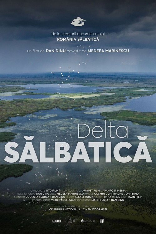 Delta Sălbatică