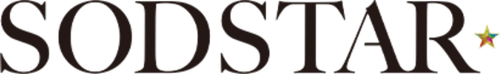 Логотип SODSTAR