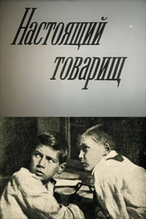Настоящий товарищ