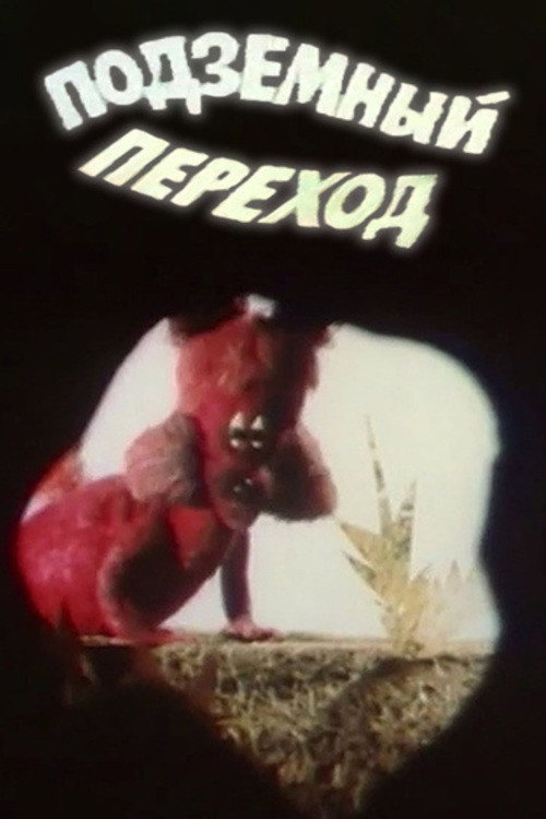 Подземный переход