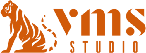 Логотип Visual Media Studio