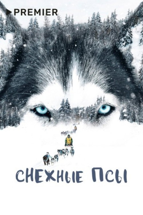 Снежные псы