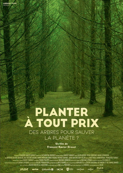 Planter à tout prix - Des arbres pour sauver la planète ?