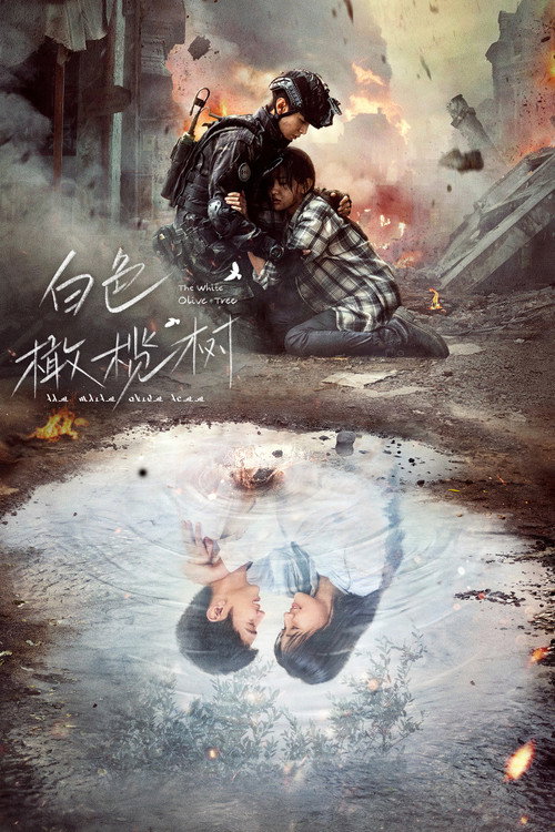 白色橄榄树