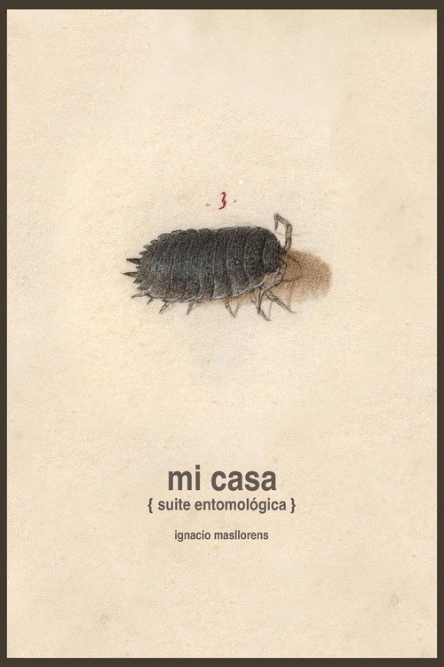 Mi casa [suite entomológica]