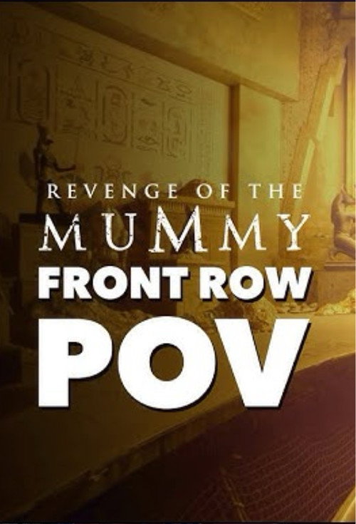Revenge Of The Mummy: The Ride | Official Ride POV | Universal Studios Florida
