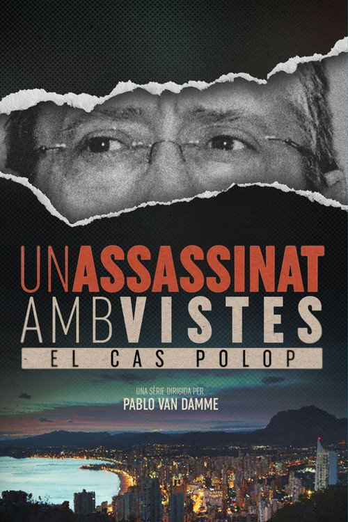 Un assassinat amb vistes