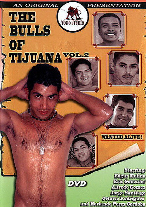 The Bulls of Tijuana 2