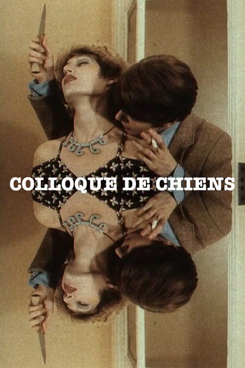 Colloque de chiens