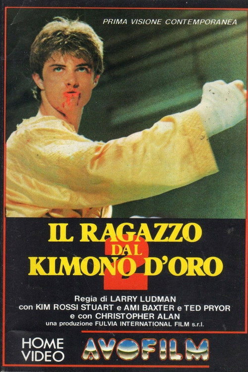 Золотое кимоно воина 2