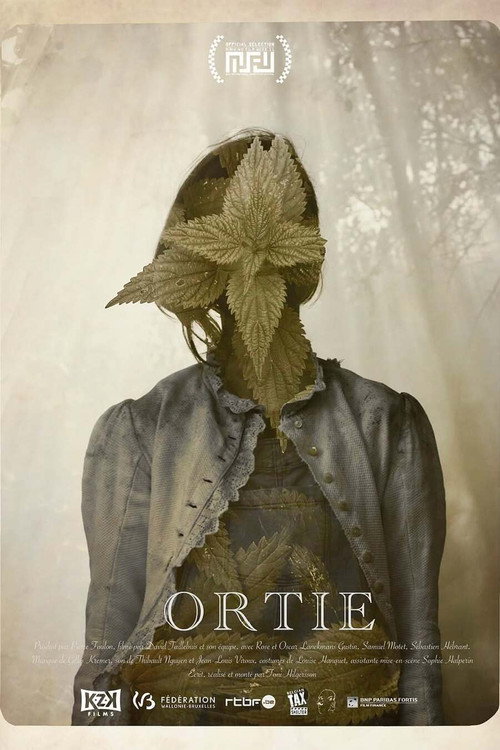 Ortie