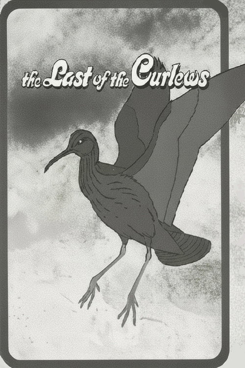 The Last of the Curlews