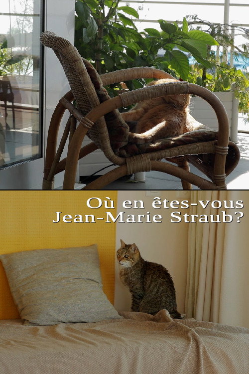 Où en êtes-vous, Jean-Marie Straub ?