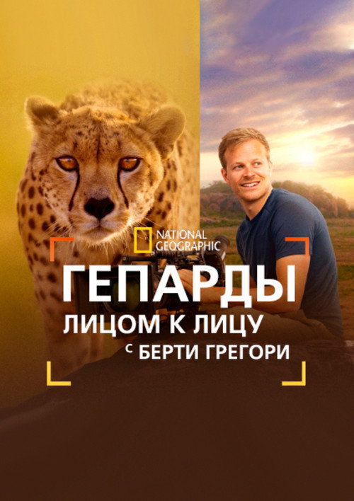 Гепарды: лицом к лицу с Берти Грегори